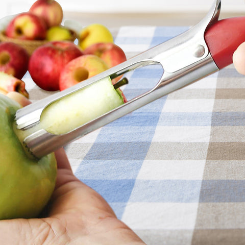 Stainless Steel Premium Apple And Fruit Corer Remover